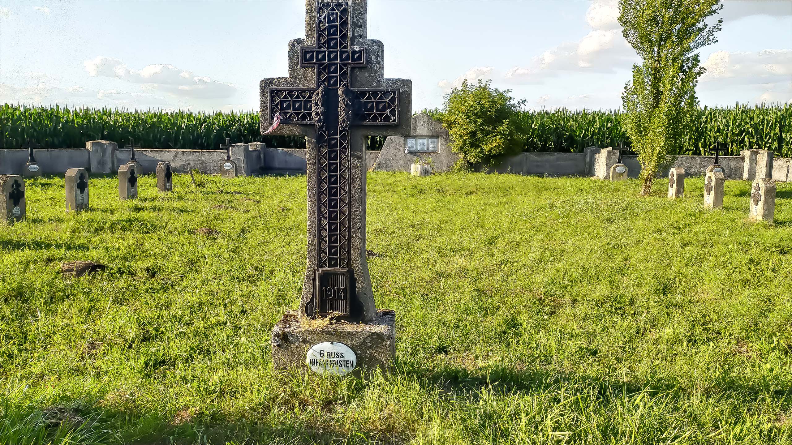 IMG 20200801 181431 kopia